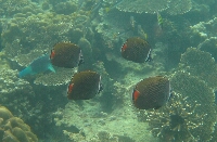 IMG_5185a.JPG