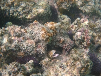 IMG_2078.JPG