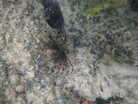IMG_2170.JPG