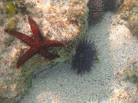 IMG_2323.JPG