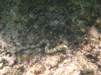 IMG_2438.JPG
