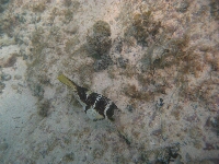 IMG_2536.JPG