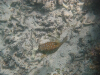 IMG_2544.JPG