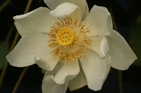 IMG_6306.JPG
