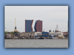 IMG_2230.jpg