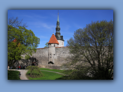 IMG_2449.jpg