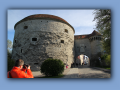 IMG_2484.jpg