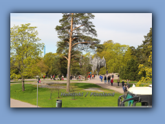 IMG_2925a.jpg