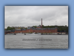 IMG_3080a.jpg